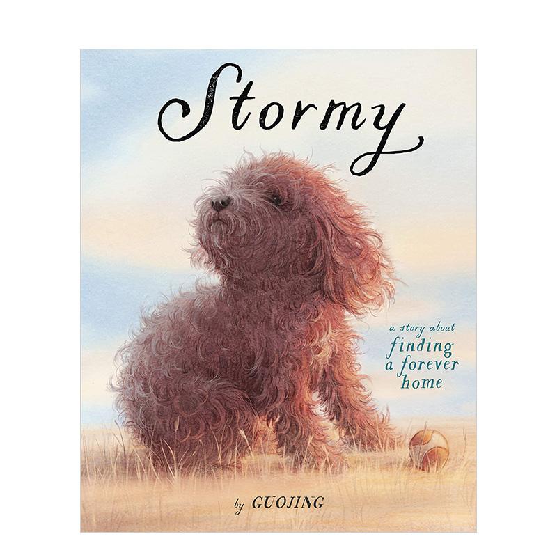 【预售】Stormy:A Story About Finding a Forever Home狂风暴雨独生小孩作者郭婧Guojing英文原版图书籍正版儿童艺术绘本