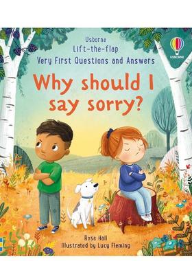 【现货】【问答翻翻书】我为什么要说对不起？Why should I say sorry? 进口原版英文儿童自我认知绘本3岁-6岁Rose Hall  Lucy Fl