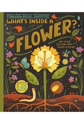 【预售】花朵里面有什么？What's Inside a Flower?英文进口原版儿童绘本图书Rachel Ignotofsky百科