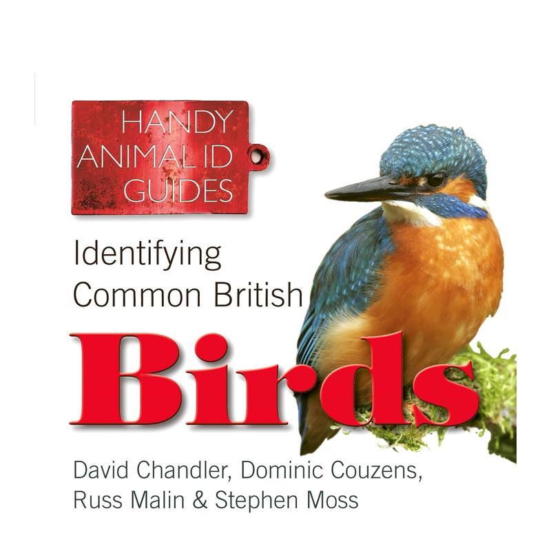 识别常见的英国鸟类 Ident