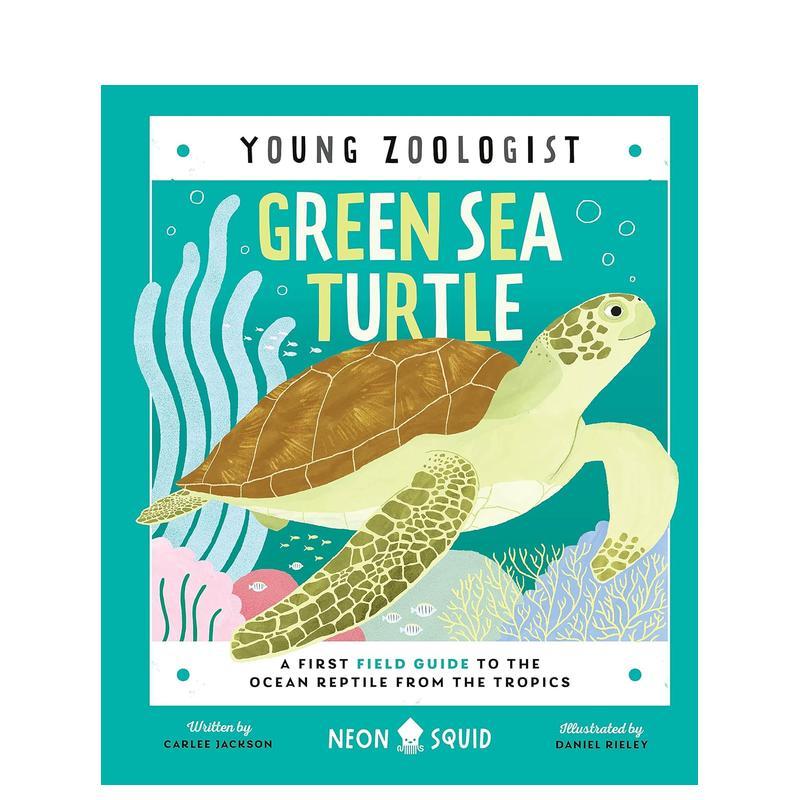 【小动物学家】绿海龟 【You