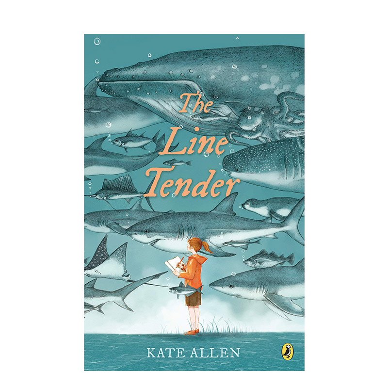 【预售】 The Line Tender 温柔  Kate Allen 英文原版图书籍进口正版 儿童故事阅读章节书