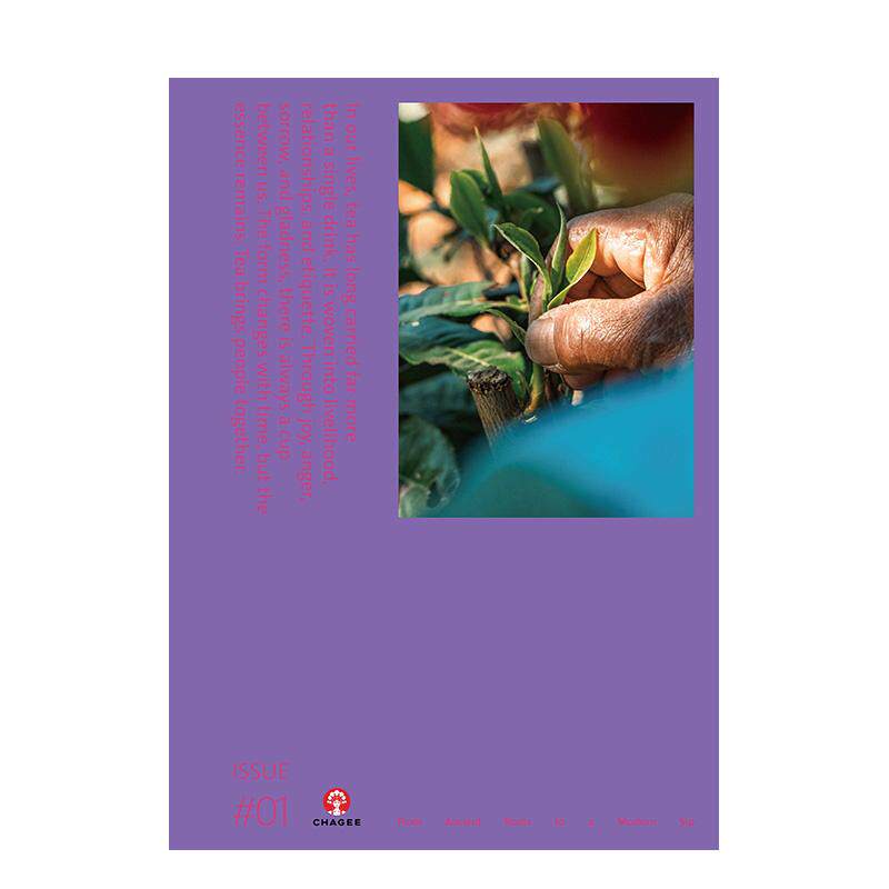 【现货】茶根细语 霸王茶姬品牌杂志 Roots of Tea 随刊赠送海报 英文原版餐饮艺术杂志图书SendPoints