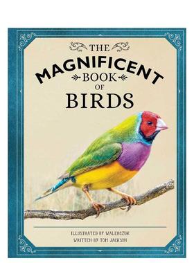 【预售】瑰丽的鸟类科普书The Magnificent Book of Birds英文进口原版儿童绘本图书Weldon Owen百科
