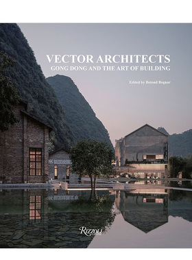 【现货】直向建筑：董功与建筑艺术 Vector Architects海边图书馆 糖舍 海边教堂 长江美术馆 英文进口原版建筑设计图书