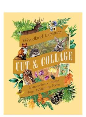 【预售】森林生物剪贴集 Cut and Collage Woodland Creatures 英文进口原版儿童趣味图书Earth Aware Editions