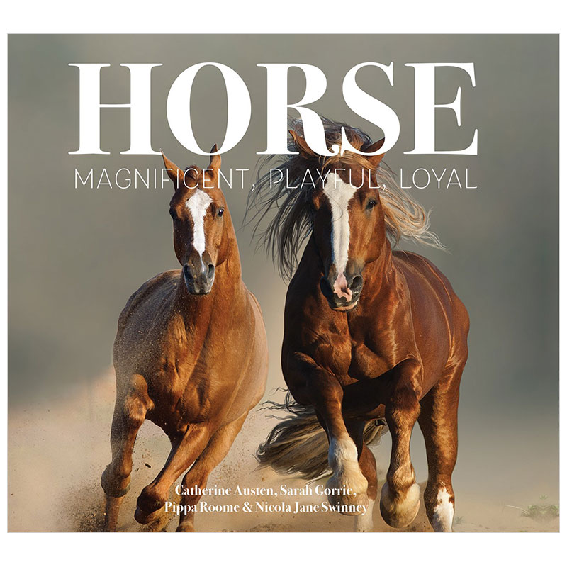 【现货】horse 马 动物图鉴 英文原版图书籍进口正版