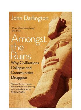 【预售】废墟之中：为什么文明会崩塌、社区会消失 Amongst the Ruins 英文进口原版人文历史图书