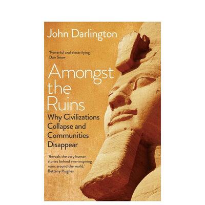 【预售】废墟之中：为什么文明会崩塌、社区会消失 Amongst the Ruins 英文进口原版人文历史图书