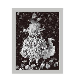 【预售】フィリア 今道子(特装版)今道子摄影作品集 日文进口原版图书籍进口正版 高桥睦郎, 中森康文 摄影作品集 国书刊行会