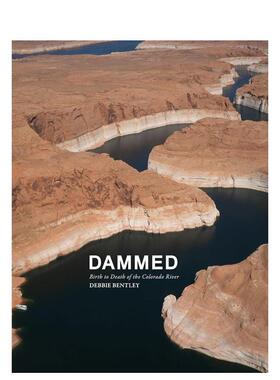 【预售】Dammed，该死的Debbie Bentley英文进口原版摄影集外文图书