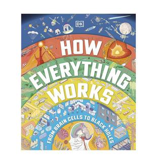 Cells 现货 From 英文进口原版 Everything Holes 万事万物如何运作：从脑细胞到黑洞How 儿童绘本图书D Works Black Brain