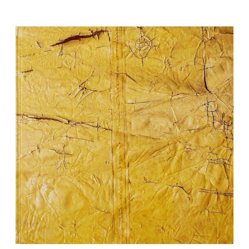 大卫&middot;哈蒙斯 David Ha