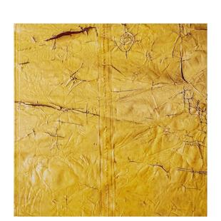 David 大卫·哈蒙斯 Hammons英文进口原版 艺术画册画集Linda Bryant外文图书 Goode 现货