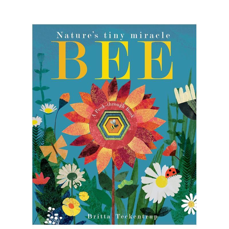 蜜蜂：大自然的微小奇迹 Bee