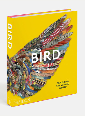 【预售】 Bird: Exploring the Winged World 鸟：探索有翼世界 英文原版图书籍进口正版 社会科学
