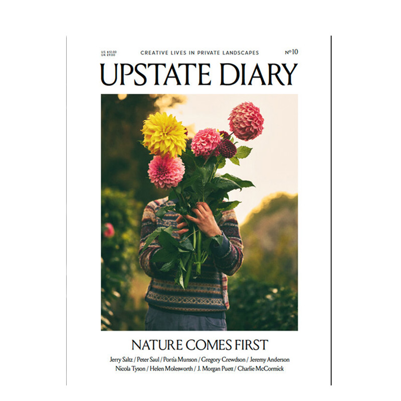 【现货】杰里·萨尔茨 Jerry Saltz UPSTATE DIARY 2020年01期 N0.10英文原版进口正版杂志期刊