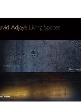 【现货】大卫阿德迦耶:居住空间 David Adjaye: Living Spaces 英文进口原版设计图书Peter Allison外文正版