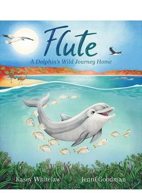 【预售】长笛：海豚的野外回家之旅 Flute: A Dolphin’s Wild Journey Home英文进口原版儿童绘本图书Little Pink Dog Books