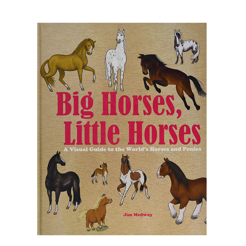 【现货】big horses,little horses,大马和小马 动物认知绘本 6-12岁