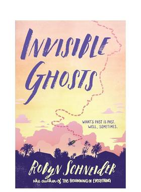 【现货】Invisible Ghosts，看不见的鬼魂 英文原版图书籍进口正版 SCHNEIDER ROBYN 青少年读物