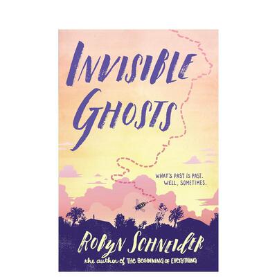【现货】Invisible Ghosts，看不见的鬼魂 英文原版图书籍进口正版 SCHNEIDER ROBYN 青少年读物