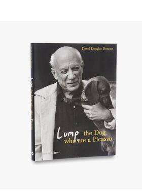 【预售】腊肠犬 