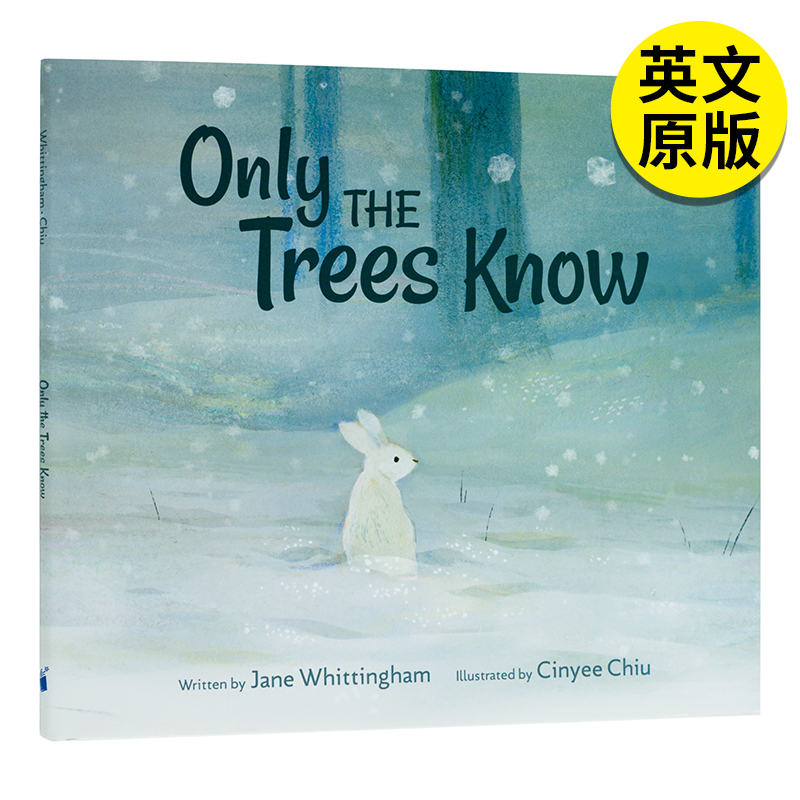 英文原版图书籍进口正版