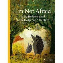 Britta Scared 现货 Big I’m Not 我不害怕： Teckentrup Hedgehog 虚构类 Pres 儿童绘本 Little Adventure and