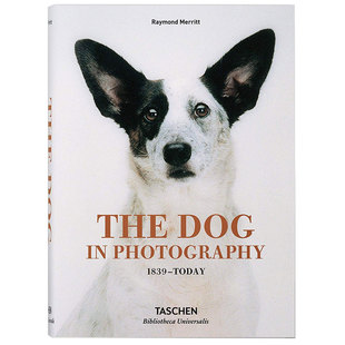 摄影 TASCHEN出版 Dog 1839–Today 图书籍正版 Raymond 英文原版 The 狗狗 照片中 爱狗者收藏 Merritt Photography 预售