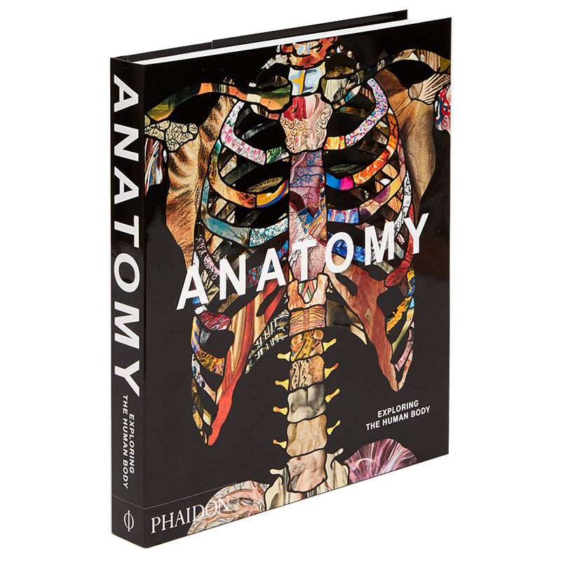 【现货】Anatomy 解剖学:探索人体  艺术绘画与医学展现 费顿精装大开本画册 英文原版图书籍进口正版高性价比高么？