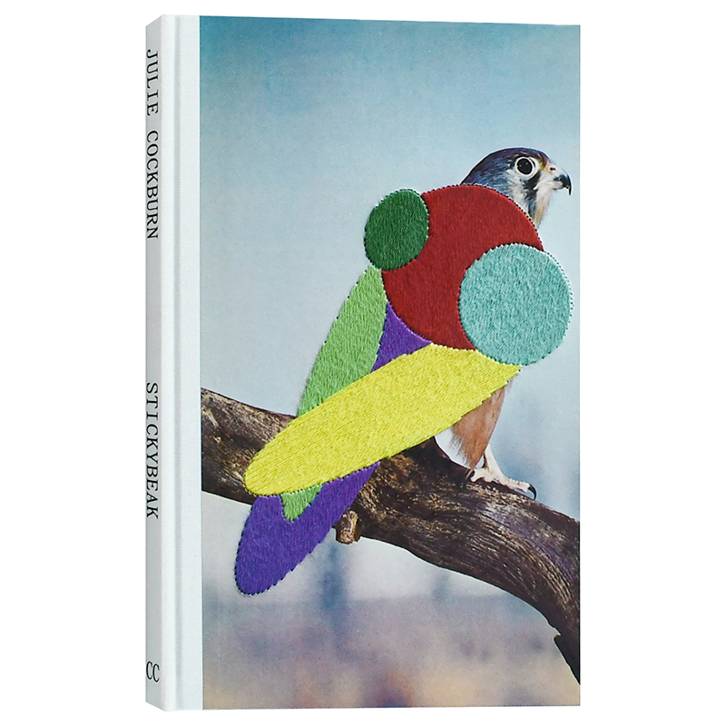 【现货】 Stickybeak，爱管闲事 英文原版图书进口正版 Julie Cockburn 摄影师专辑 Chose Commune
