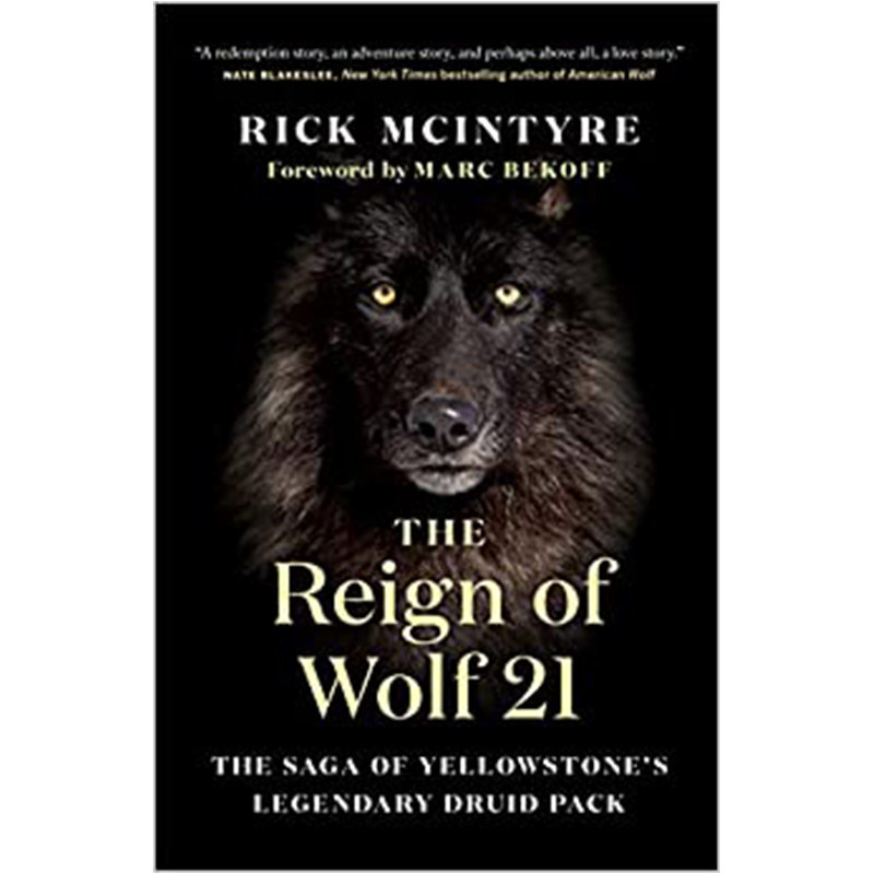 【现货】the reign of wolf 21 狼21的统治 英文原版图书籍进口正版