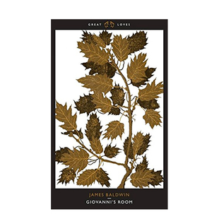 鲍德温 Giovannis Great Penguin 乔凡尼 詹姆斯 英文原版 Baldwin Room James 房间 文学短篇小 图书籍进口正版 Loves 预售