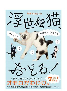 【现货】 浮世絵猫、おどる! バ—にいる保护猫トリオの日常，起舞吧！浮世绘猫 日文原版图书籍进口正版 热海 Muddy Cat 摄影作品