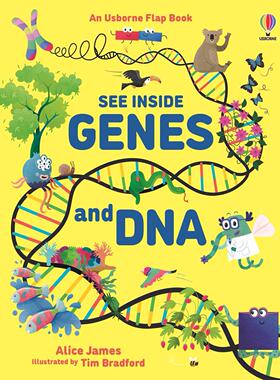 【预售】【翻翻书】基因及DNA【See Inside】Genes & DNA英文进口原版儿童趣味图书Laura Cowan and Neil Clark6-9岁