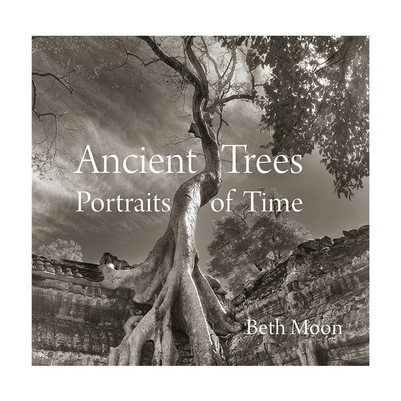 【预售】Ancient Trees:Portraits of Time 古树:时间的写照 树木肖像摄影集 英文原版图书籍进口正版 Beth Moon