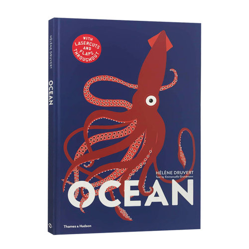 【预售】Helene Druvert 纸雕艺术儿童书 Ocean 海洋 英文原版图书籍进口正版 翻翻书 海底美景 保护海洋意识