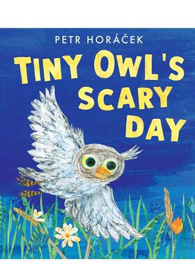 【预售】小猫头鹰惊险的一天（平装） Tiny Owl’s Scary Day 英文进口原版儿童绘本图书Petr Horá?ek外文正版