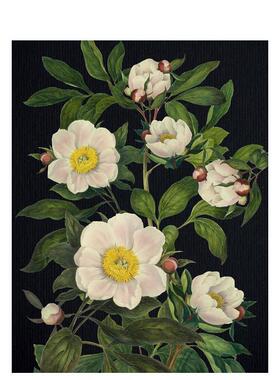 【预售】记事本 - 繁花 Blooming Flowers Journal 原版笔记本Notebook