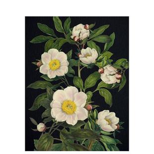 【预售】记事本 - 繁花 Blooming Flowers Journal 原版笔记本Notebook