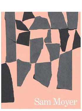 【现货】美国装置艺术家Sam MoyerSam Moyer英文进口原版艺术画册画集外文图书Kaitlyn Greenidge Rizzoli