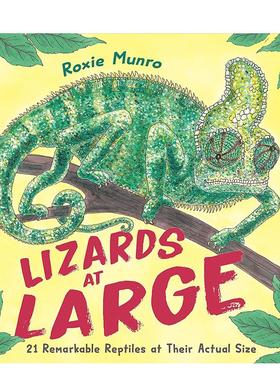 【预售】逍遥法外的蜥蜴：21种实际大小的非凡爬行动物Lizards at Large: 21 Remarkable Reptiles at their Actual Size 英文进口