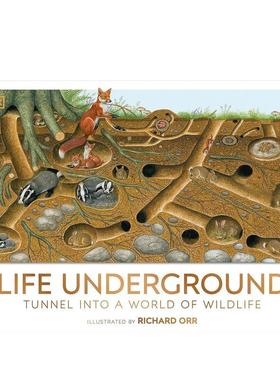 【预售】【DK全景百科】地下生活：进入野生动物世界的隧道【DK Panorama】Life Underground英文进口原版儿童绘本图书DK and Ric