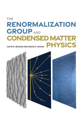 【预售】重整群理论与凝聚态物理学 The Renormalization Group and Condensed Matter Physics 英文进口原版社会科学图书David R