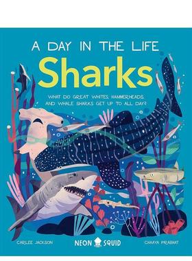 【预售】【动物的一天】鲨鱼【A Day in the Life】Sharks英文进口原版儿童绘本图书Chaaya Prabhat百科