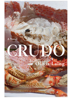 【现货】Crudo 克鲁多 Olivia Laing 英文进口原版图书籍文学小说Olivia Laing