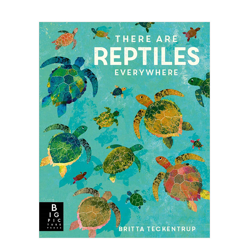 【预售】There are Reptiles Everywhere随处可见的爬行动物英文儿童科普绘本