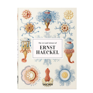 ErnstHaeckel Taschen40周年纪念版 恩斯特·海克尔自然生物插画绘画 现货