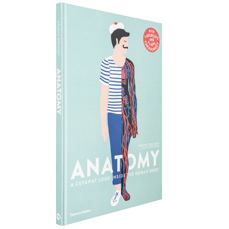 【预售 】【T&H】Helene Druvert纸雕艺术书 Anatomy人体结构 儿童趣味科普 英文原版